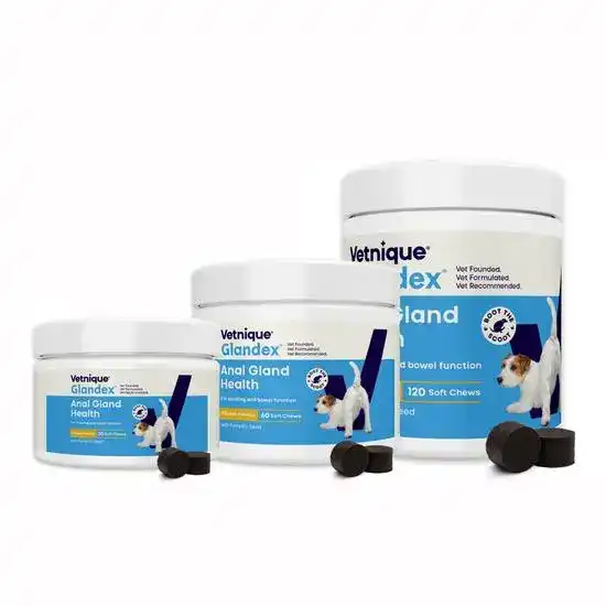 Glandex Anal Gland Support Chicken Soft Chews for Dogs 19661