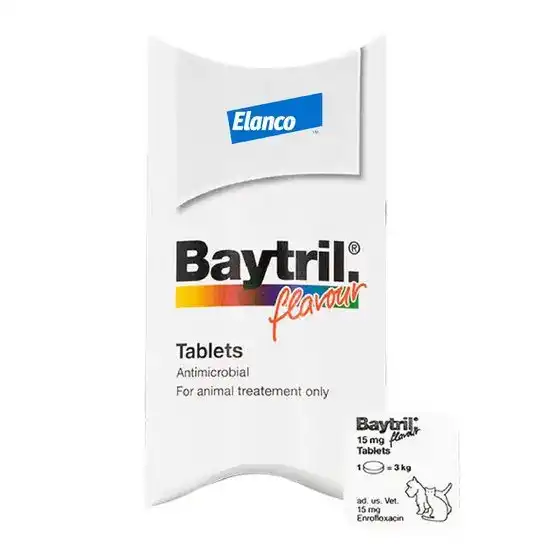 Baytril Flavour Tablets for Dogs and Cats 15mg 930