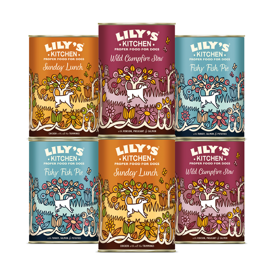 Lily's Kitchen Grain Free Adult Wet Dog Food Multipack 6 x 400g Cans 17657