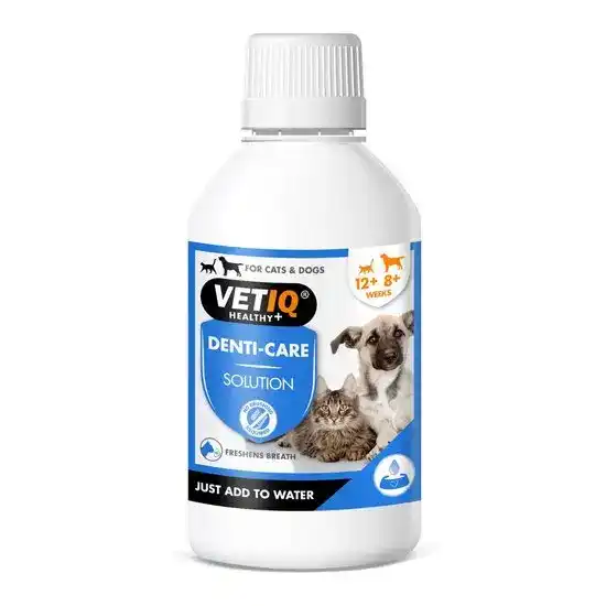 VETIQ HEALTHY+ Denti-Care Solution for Cats & Dogs 250ml 18106