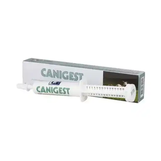 Canigest Digestive Maintenance Paste for Dogs & Cats 11316