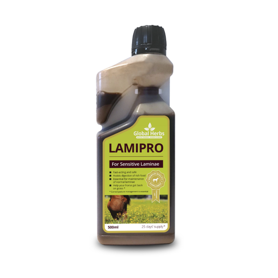 Global Herbs LamiPro Horse Laminae Support Supplement Liquid 19743