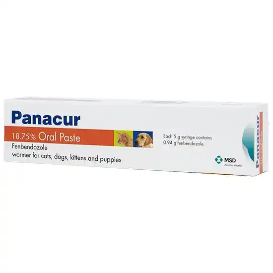 Panacur Oral Paste Wormer for Cats