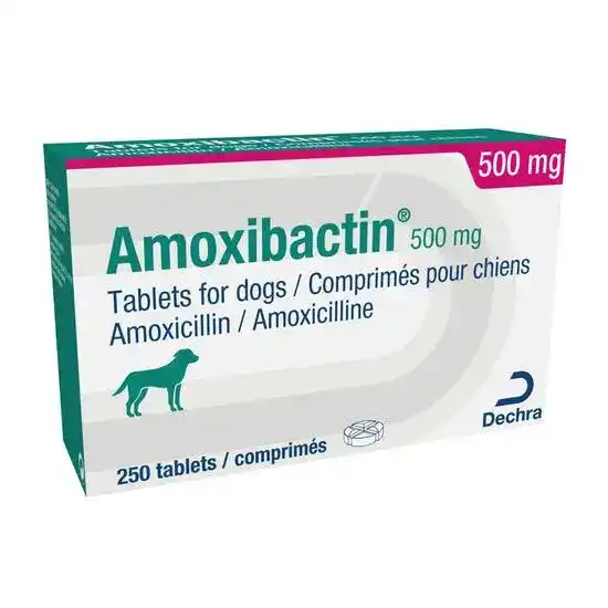 Amoxibactin Tablets for Dogs 500mg 19106