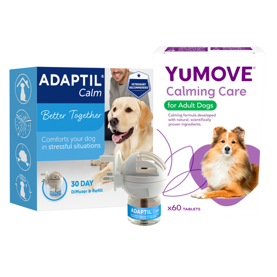 Dog Calming Bundle: ADAPTIL Diffuser Starter Kit & YuMOVE Calming Care 19252