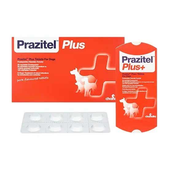 Prazitel Plus+ Worming Tablets for Dogs | Pet Drugs Online