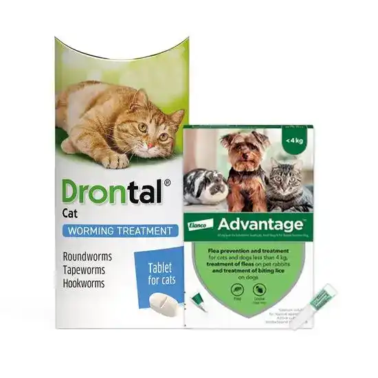 12-Month Flea & Worm Treatment for Cats up to 6kg: Advantage Spot On & Drontal W 18736