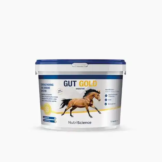 NutriScience Gut Gold Pre and Probiotic Digestive Supplement for Horses 18851