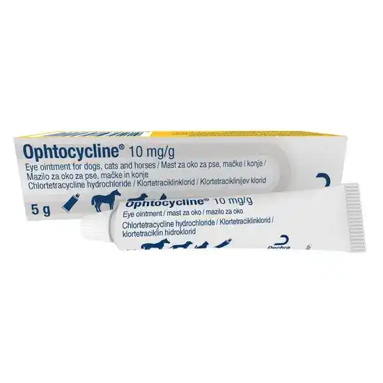 Ophtocycline Eye Ointment for Dogs