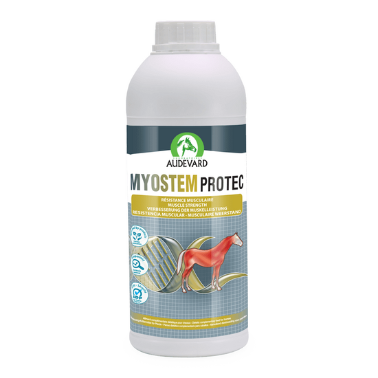 Audevard Myostem Protec Muscle Strength Nutritional Support Liquid for Horses 900ml Bottle 10716