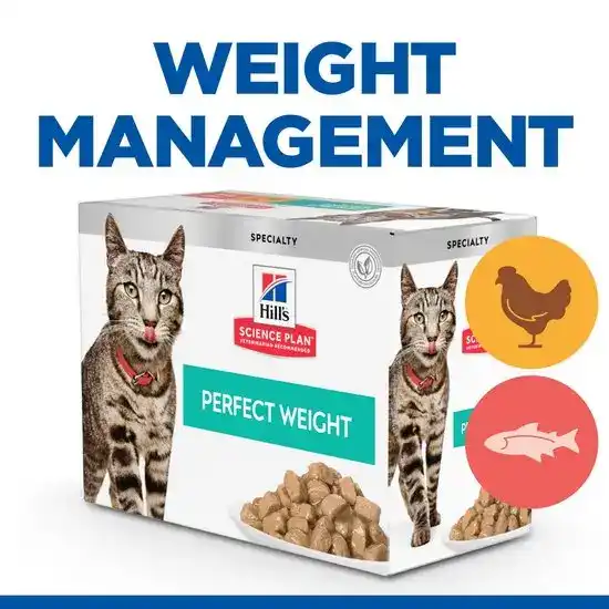 Hill's SCIENCE PLAN Specialty Adult Perfect Weight Wet Cat Food Multipack with Chunks in Gravy with Chicken & Salmon 85g Pouches 15918