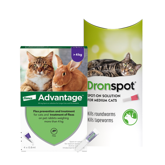 Cats 4kg-5kg: 3-Month Advantage Spot-On Flea Treatment with Dronspot Spot-On Wor 15746