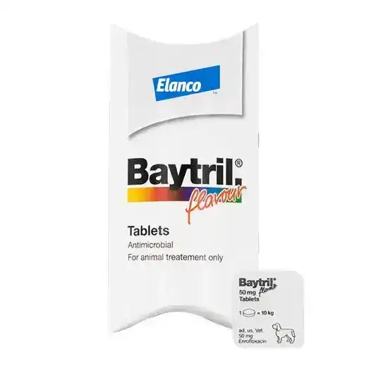 Baytril Flavour Tablets for Dogs 50mg 2966