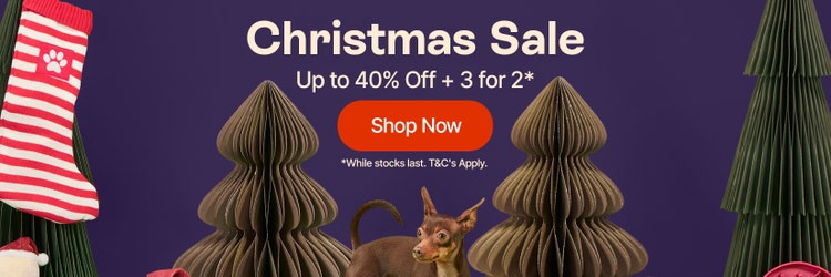 Christmas Sale Up to 40% Off + 3 for 2*