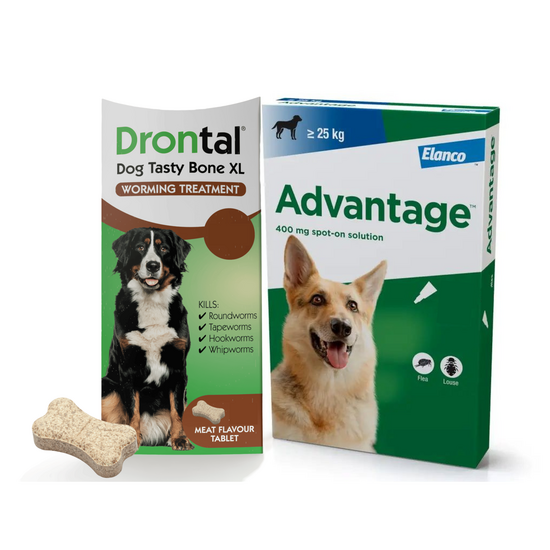 Dogs 25kg-35kg: 3-Month Advantage Spot-On Flea Treatment with Drontal Tablet Worm Treatment 15742
