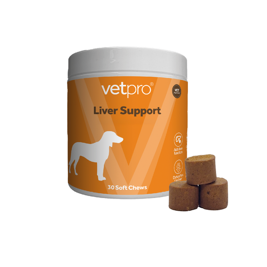 Vetpro Liver Support Supplement Dog Chews 20592