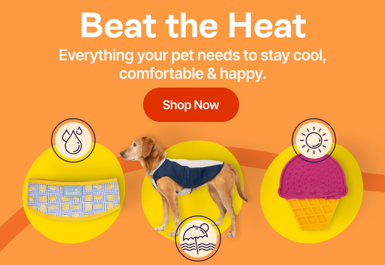Beat the Heat - Everything your pet needs to stay cool, comfortable & happy. Shop Now