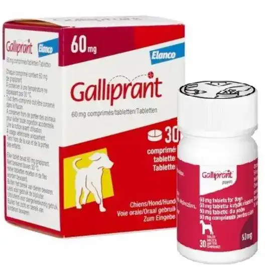 Galliprant Tablets for Dogs 60mg 13585