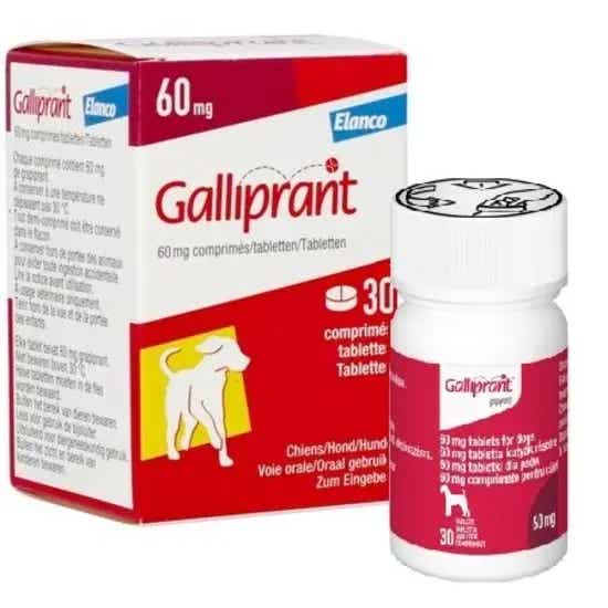 Galliprant 60mg Tablets Dogs | Low Prices