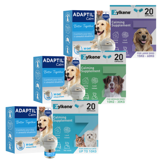Dog Calming Bundle: ADAPTIL Diffuser Starter Kit & Zylkene Calming Supplement 19253