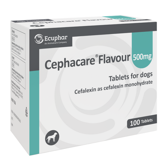 Cephacare Flavoured Tablets for Dogs 500mg 2981