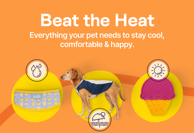 Beat the Heat - Everything your pet needs to stay cool, comfortable &amp; happy.