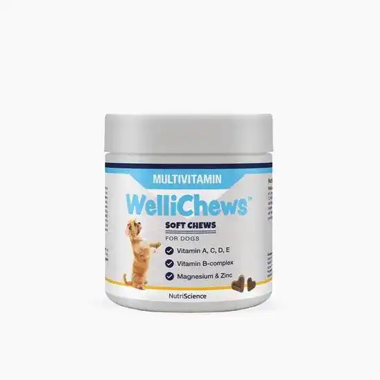 WelliChews Multivitamin Supplement Soft Chews for Dogs 18853