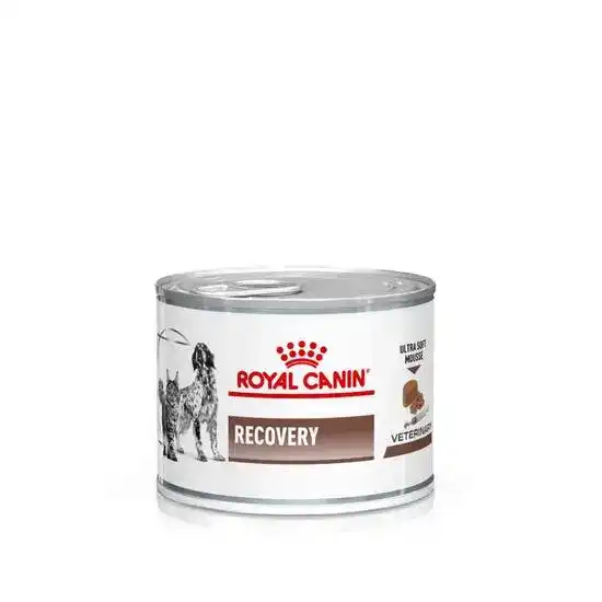 Royal Canin Recovery Adult Wet Cat & Dog Food Ultra Soft Mousse 12 x 195g Tins 1463