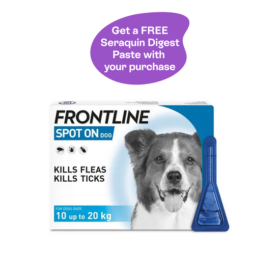 FRONTLINE SPOT-ON Flea & Tick Treatment for Medium Dogs (10kg-20kg) 6223