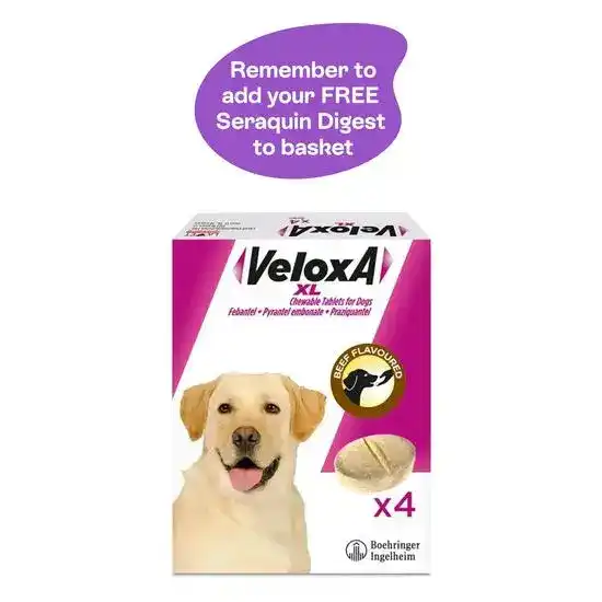 Veloxa XL Chewable Worming Tablets for Large Dogs 17.5kg-70kg 9229
