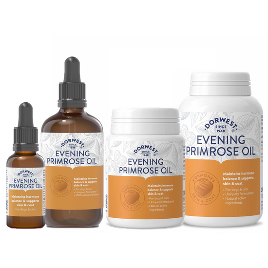 DORWEST Evening Primrose Oil Healthy Skin and Coat Supplement for Dogs and Cats 1148