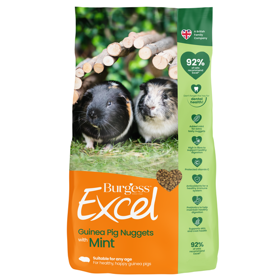 Burgess Excel Guinea Pig Nuggets with Mint 16982