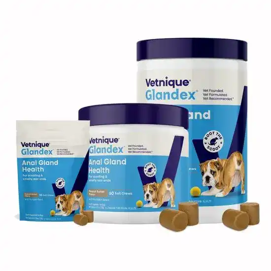 Glandex Anal Gland Support Peanut Butter Soft Chews for Dogs 11682
