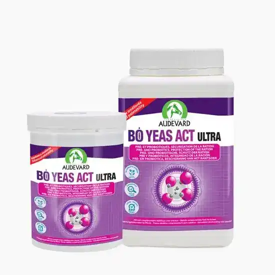 Audevard Bo Yeas Act Ultra Balanced Digestion Pre and Probiotic Complementary Pellets for Horses 2549