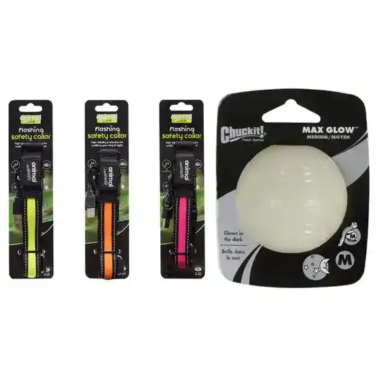 Dog Dark Nights Bundle: Animal Instincts Flashing Safety Collar & Chuckit! Max G 19417