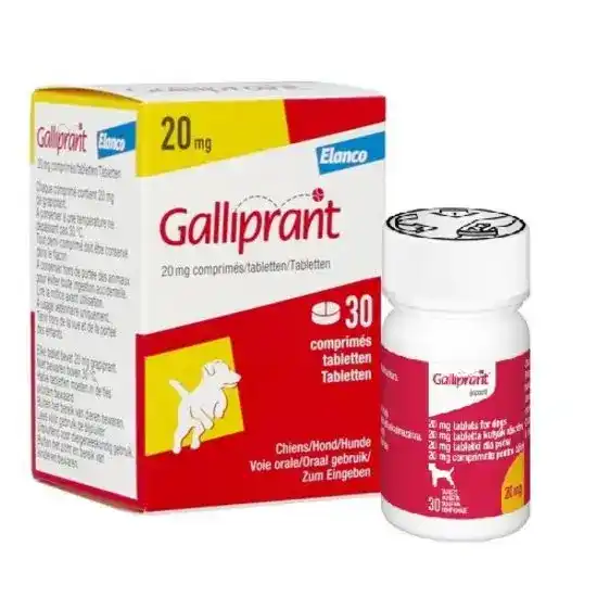 Galliprant Tablets for Dogs 20mg 13583