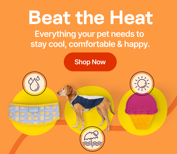 Beat the Heat - Everything your pet needs to stay cool, comfortable & happy. Shop Now