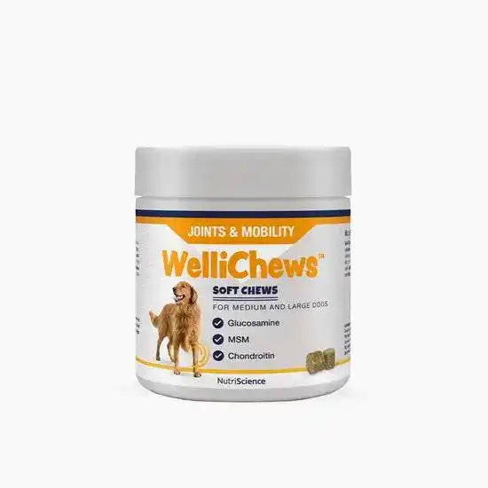 WelliChews Joints & Mobility Supplement Soft Chews for Dogs 18854