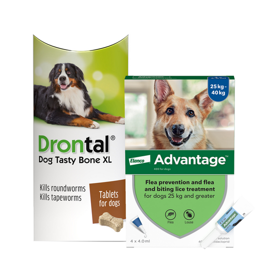 Dogs 25kg-35kg: 3-Month Advantage Spot-On Flea Treatment with Drontal Tablet Worm Treatment 15742