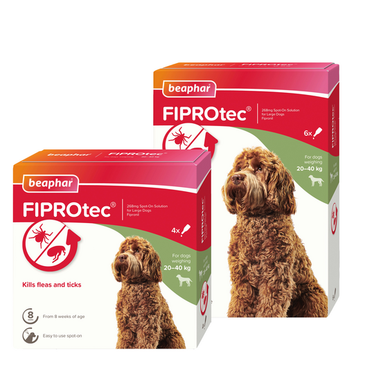 Beaphar FIPROtec Spot-On Flea and Tick Treatment for Large Dogs 20kg-40kg 15782