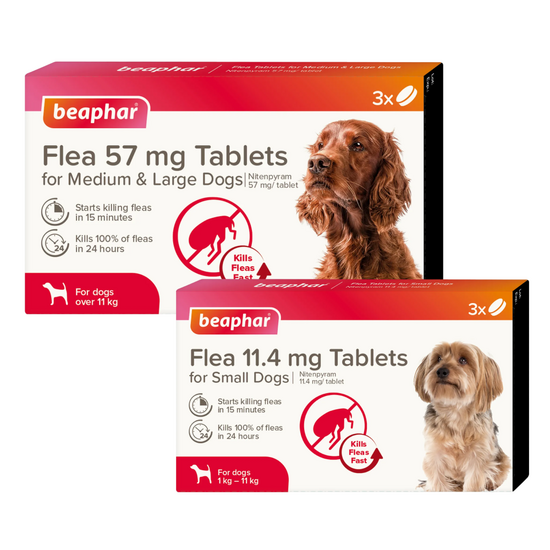 Beaphar Flea Tablets for Dogs 19341