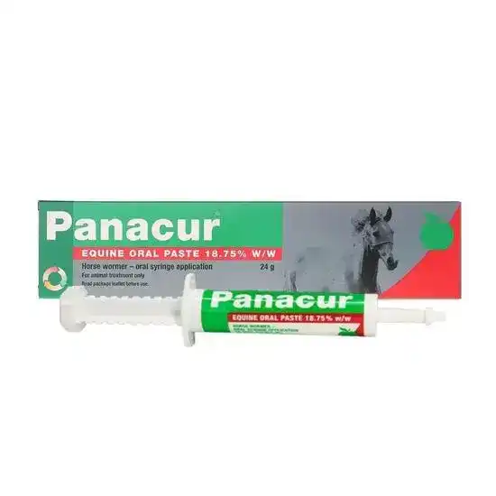Panacur Equine Oral Paste Wormer for Horses 18.75% w/w 475