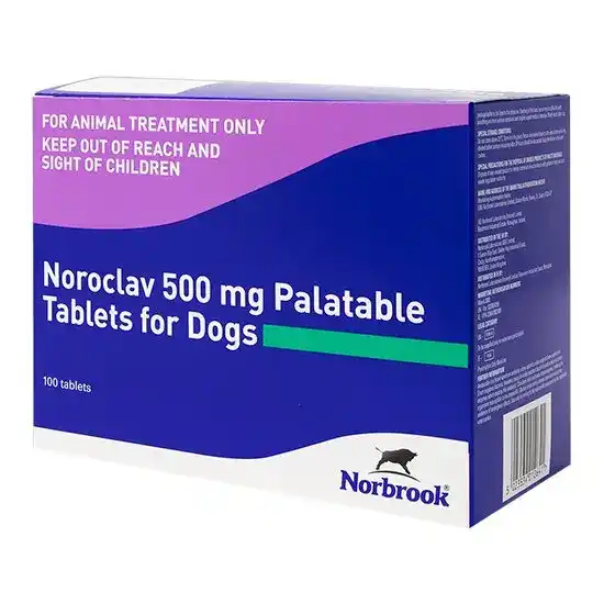 Noroclav Palatable Tablets for Dogs 500mg 3035