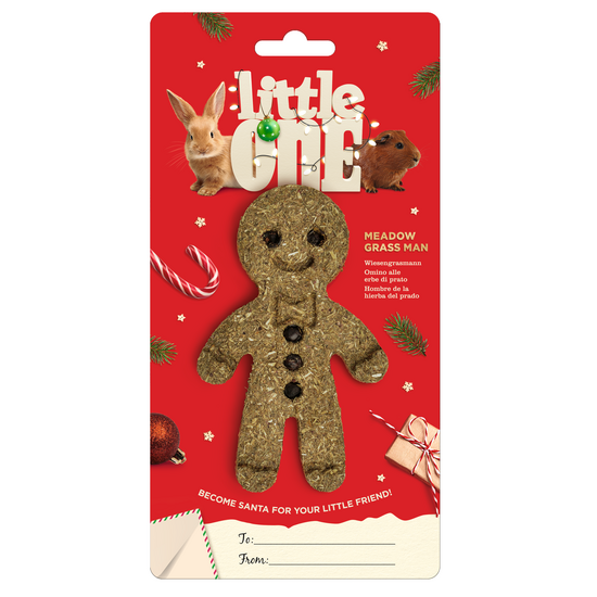 Little One Meadow Grass Man Christmas Treat Toy for Small Mammals 19029