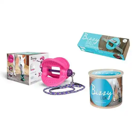 Bizzy Horse Bundle: Pink Ball