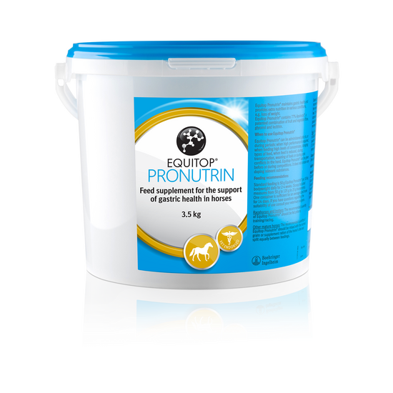 Equitop Pronutrin Gastric Health Supplement for Horses 1177