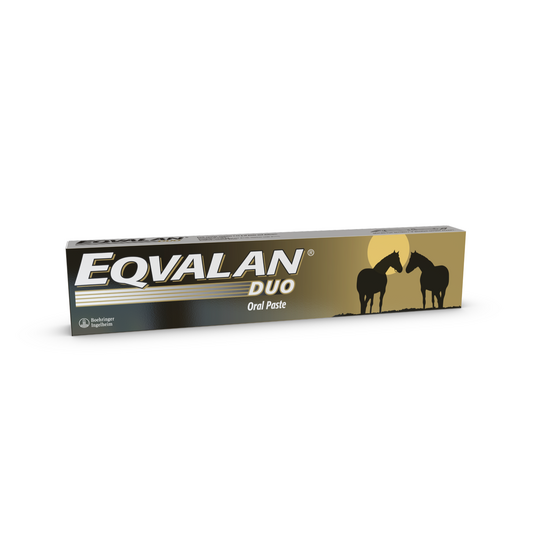 EQVALAN Duo Oral Paste Wormer for Horses 16921