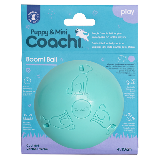 Coachi Puppy & Mini Boomi Ball Dog Toy 19635