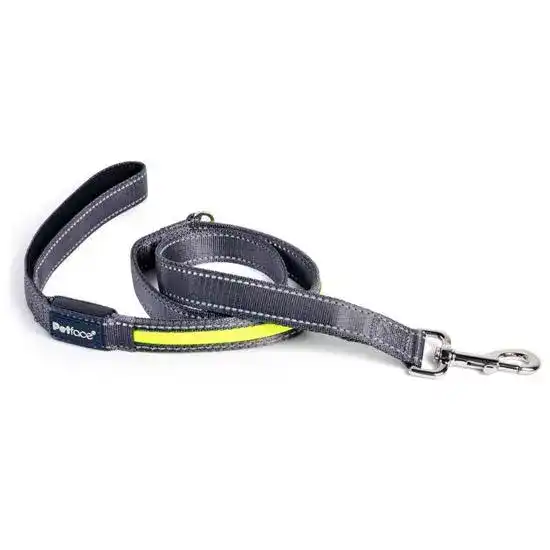 Petface Reflective Flashing Yellow Dog Lead 20621