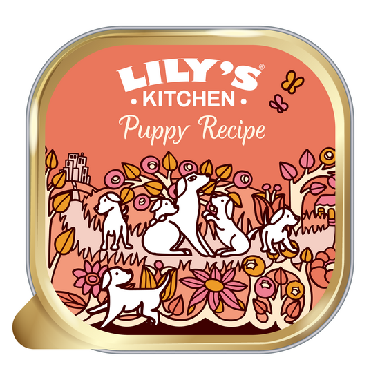 Lily's Kitchen Puppy Recipe Wet Dog Food with Chicken